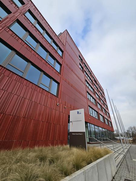 Zolldirektion